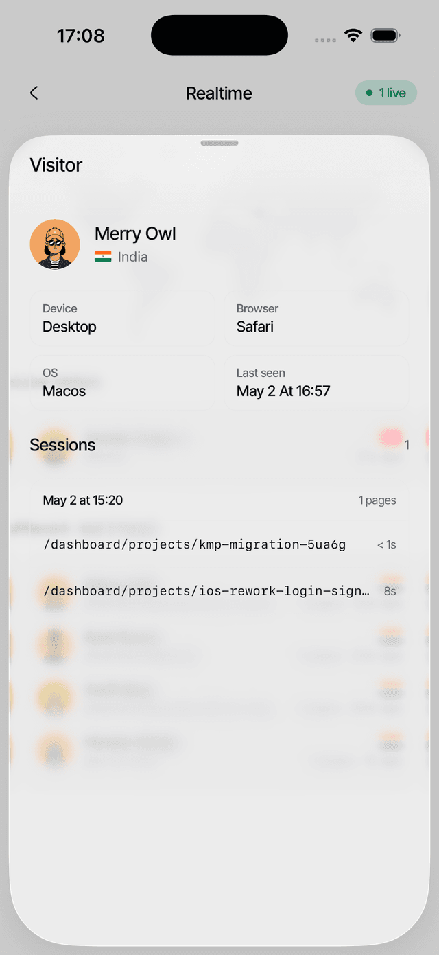A single visitor's session timeline